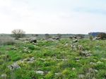 Поле дольменов недалеко от раскопок древней Гамлы.