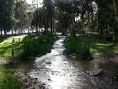 Парк Яркон. Водопад в эвкалиптовой роще.