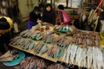 The famous fish market in Busan opens at dawn. The vendors