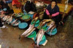 Almost all the seafood sellers are women. It seemed to us that