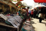At the fish market in Busan.