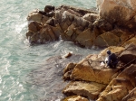 When you see fishermen at the Tewanam rock, you remember the legend of the locked